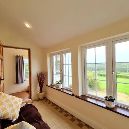 Cushatrough Claddaghduff